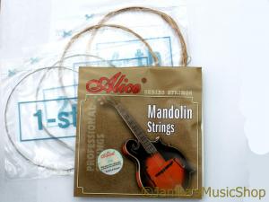 SILVER MANDOLIN STRINGS SET